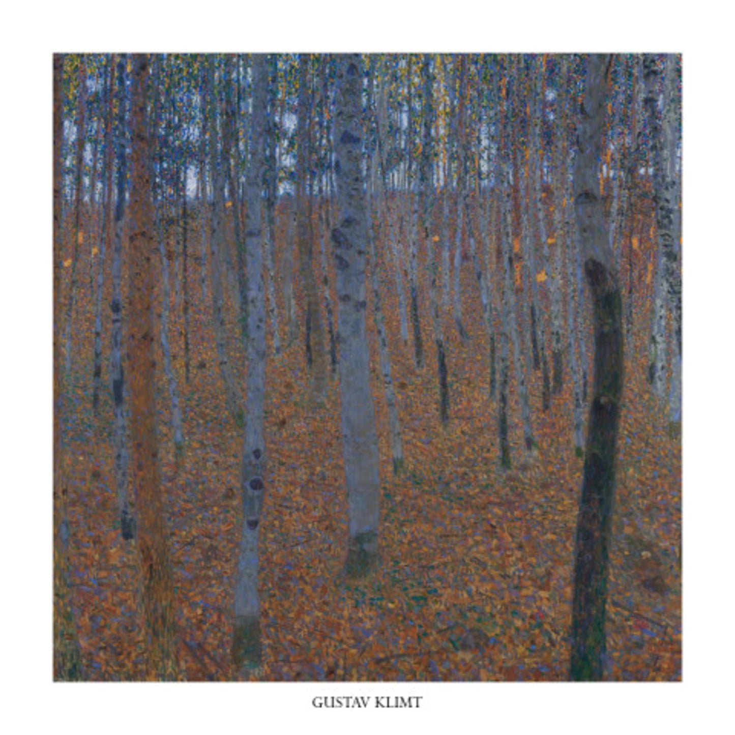 Kunstdruk Gustav Klimt - Faggeto 70x70cm