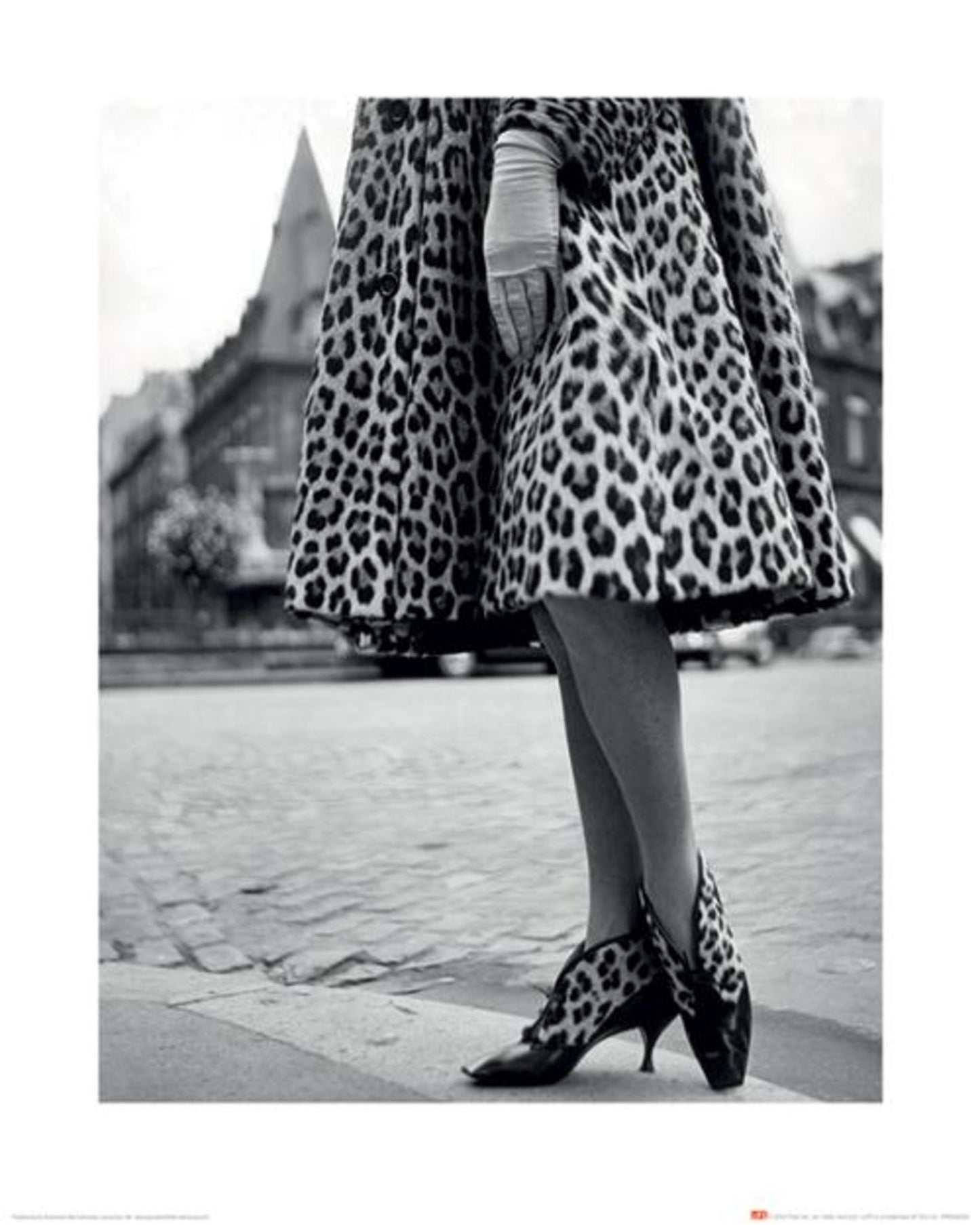 Kunstdruk Time Life Dior Leopard Print 40x50cm