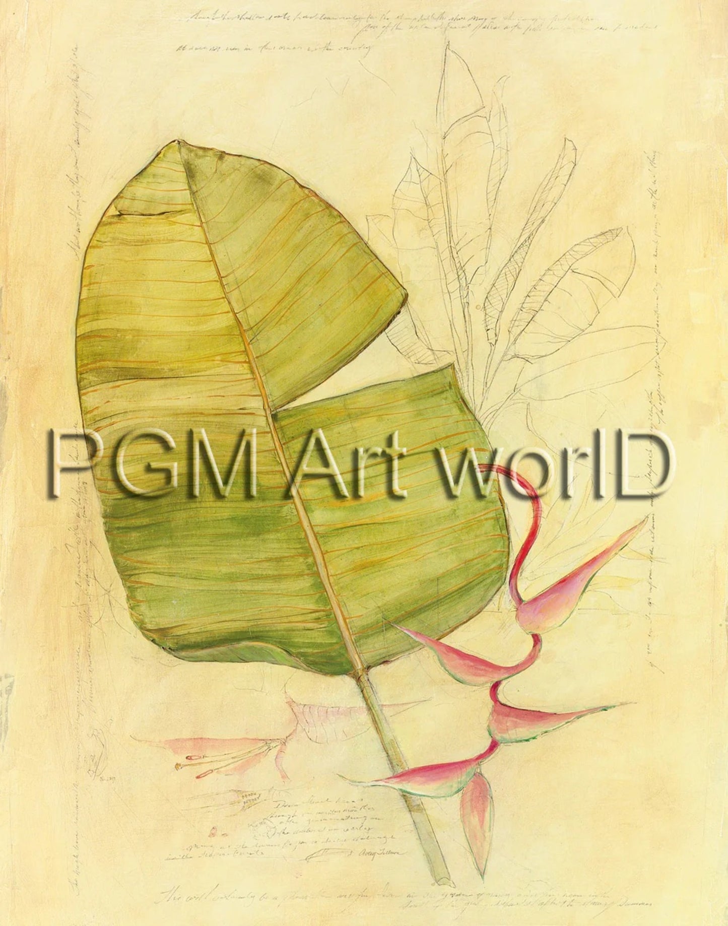 Kunstdruk Avery Tillmon - Botanical Journal I 56x71cm