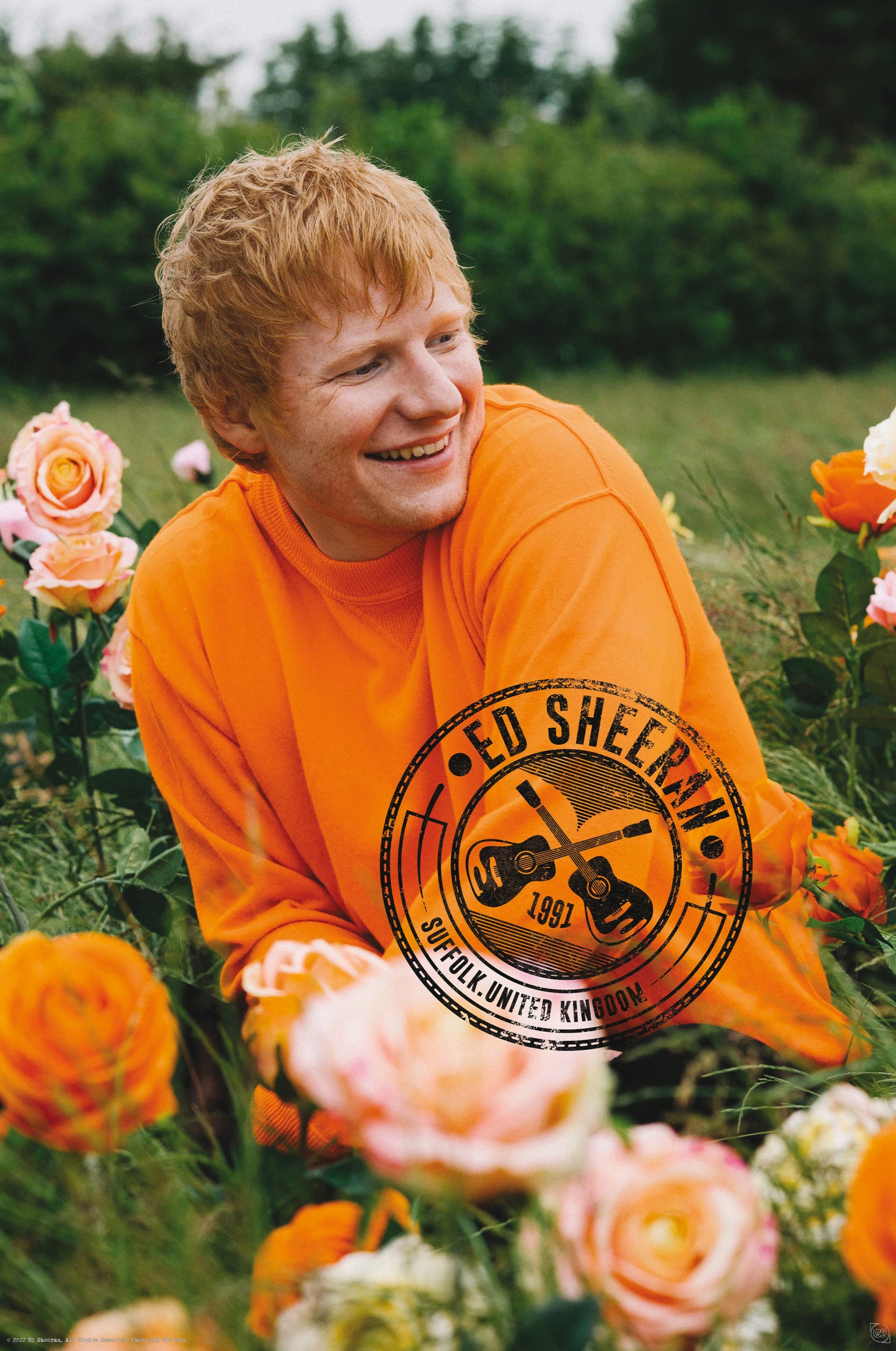 Poster Ed Sheeran - Rose Field 61x91,5cm