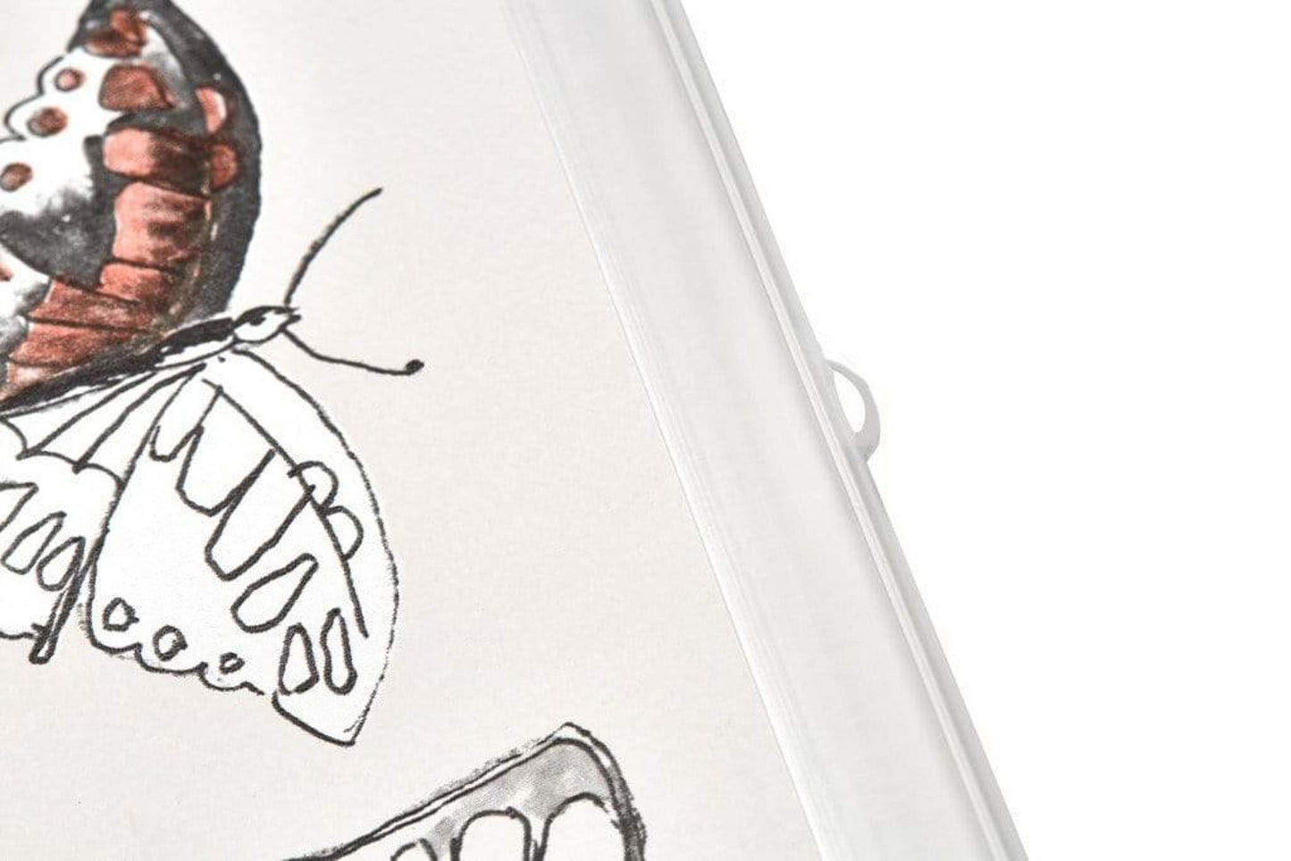 Posterhanger 80cm Transparant - Posterstrips met Ophangoog