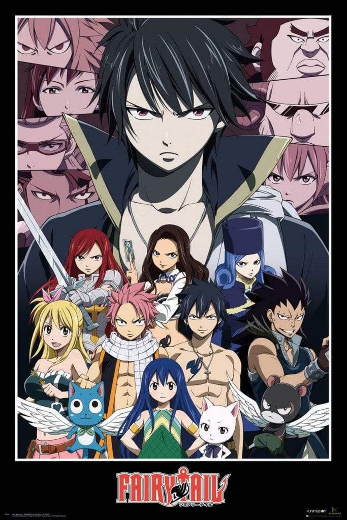 Poster Fairy Tail Group 61x91,5cm