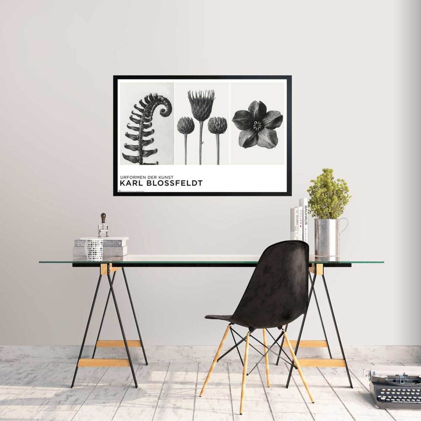 Poster Unformen Der Kunst By K Blossfeldt 61x91,5cm