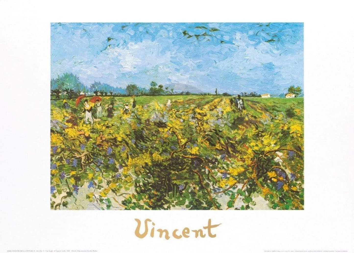 Kunstdruk Vincent Van Gogh - The Green Vineyard 70x50cm