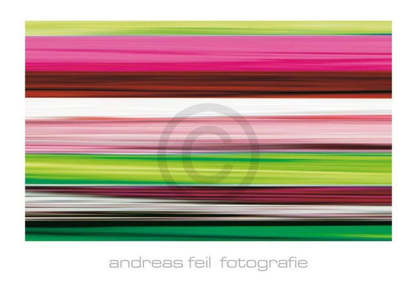 Kunstdruk Andreas Feil - Fotografie II 138x95cm