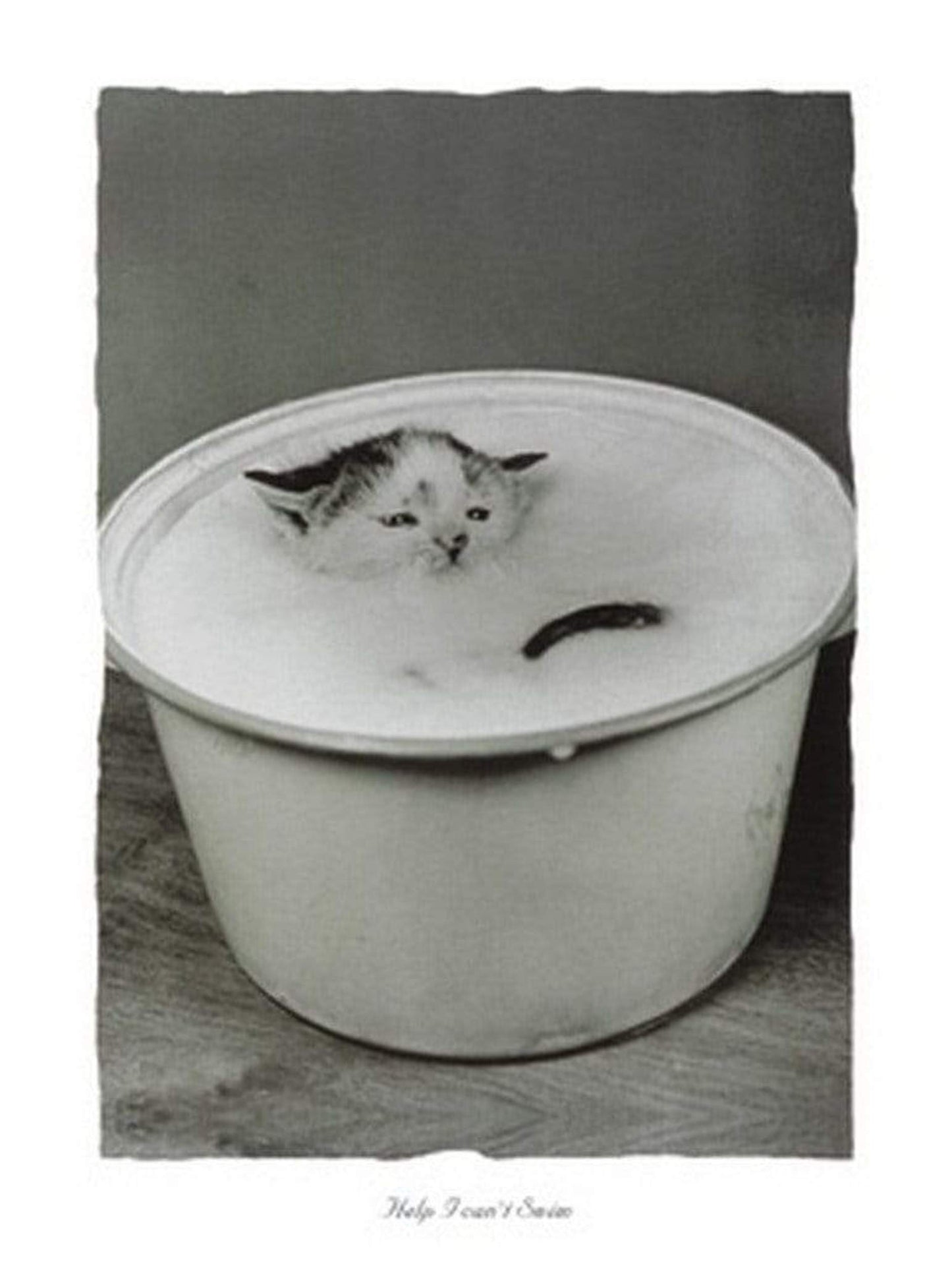 Kunstdruk B. Creative - Help I can't swim 30x40cm