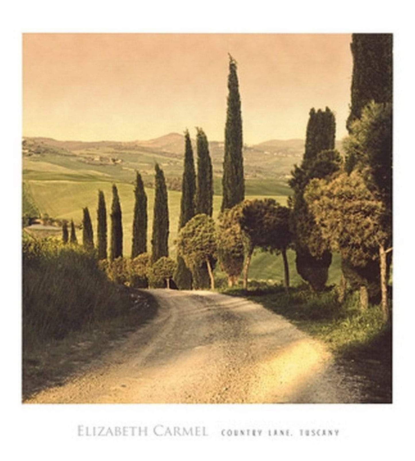 Kunstdruk Elisabeth Carmel - Country Lane, Tuscany 45x50cm