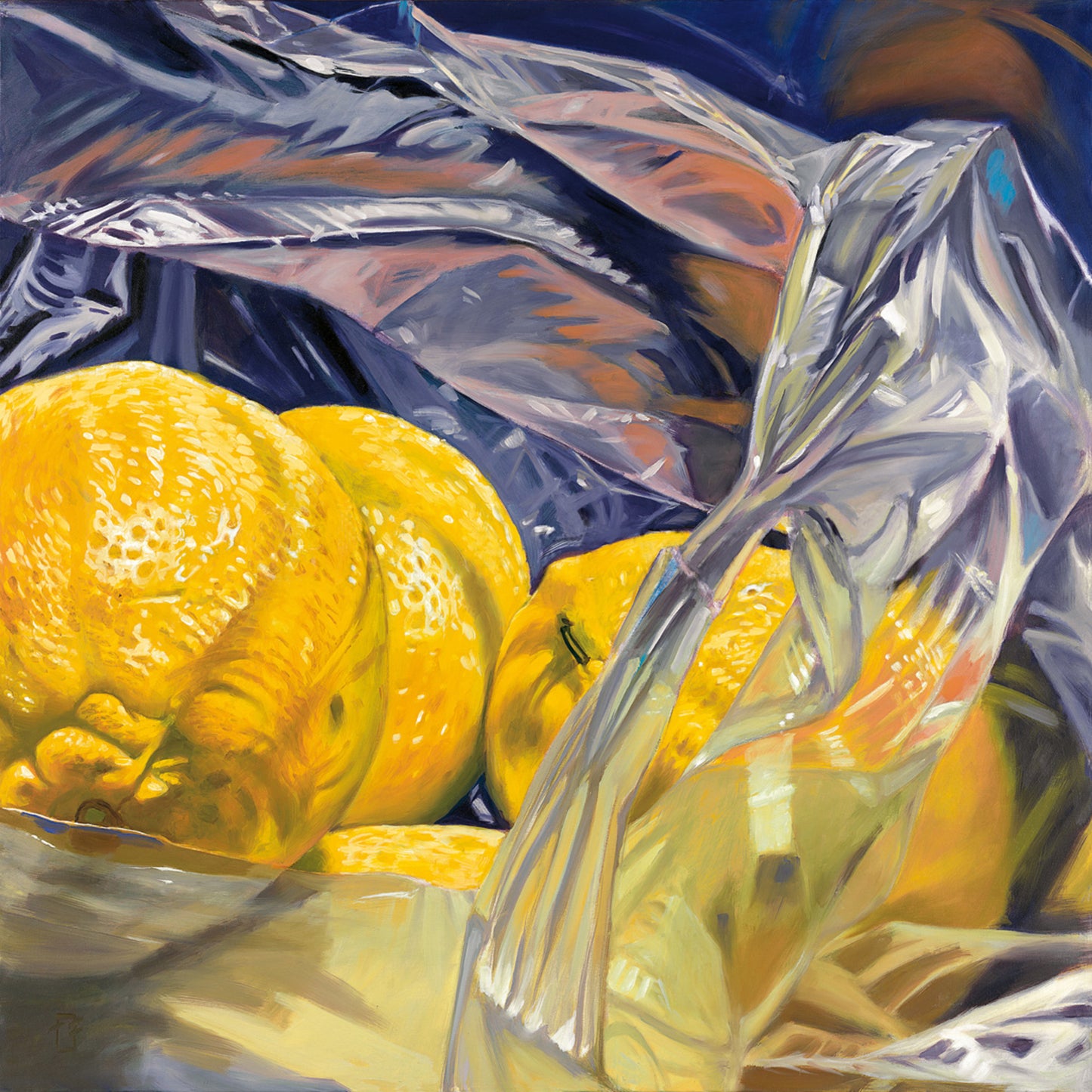 Kunstdruk Thomas Freund - Lemon bag 98x98cm