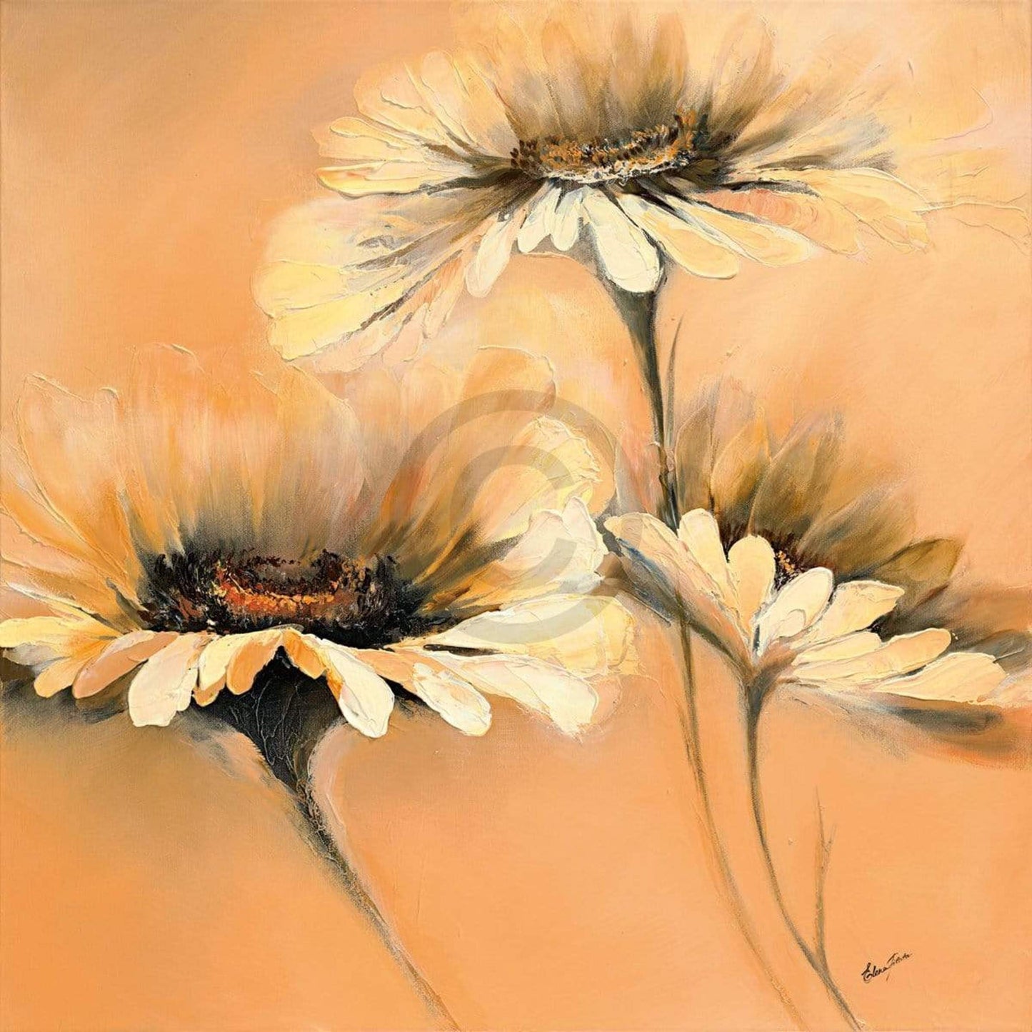 Kunstdruk Elena Filatov - Apricot Summer I 70x70cm