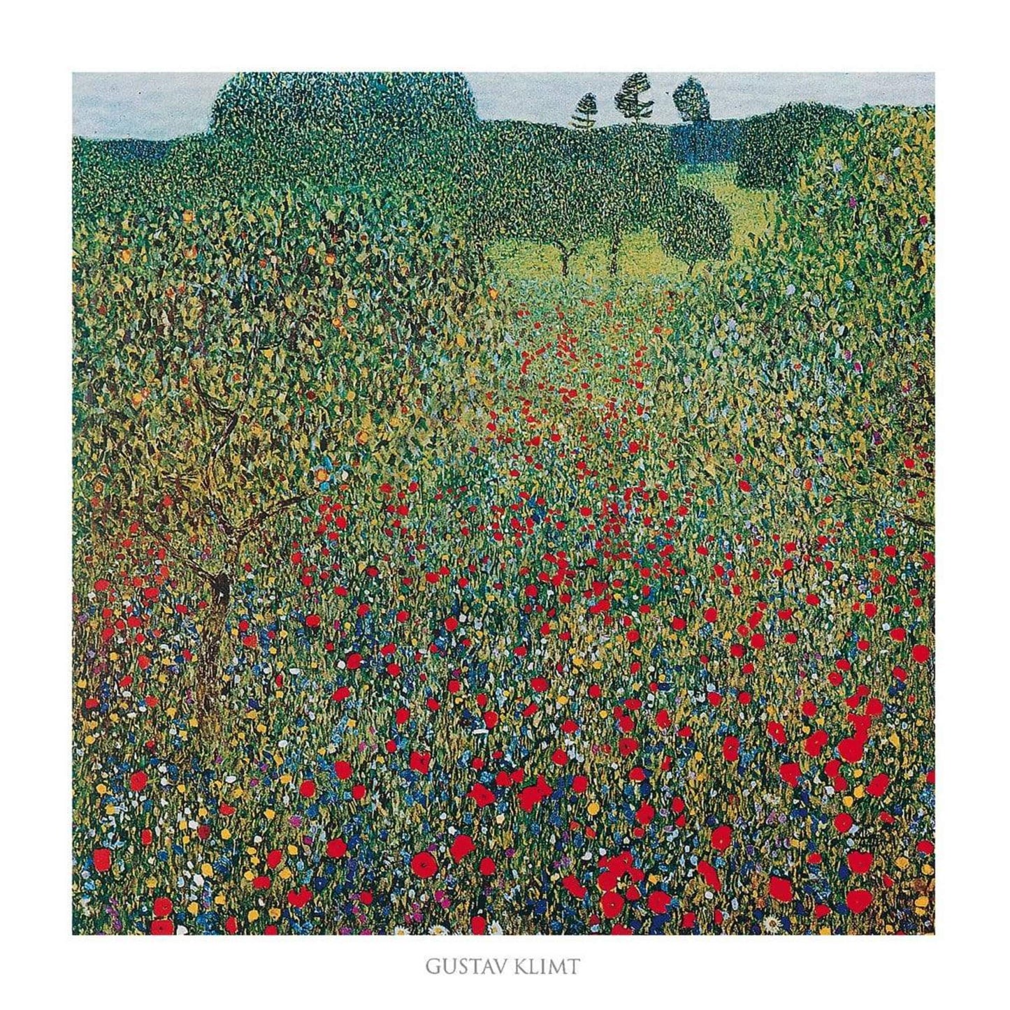 Kunstdruk Gustav Klimt - Campo di papaveri 70x70cm