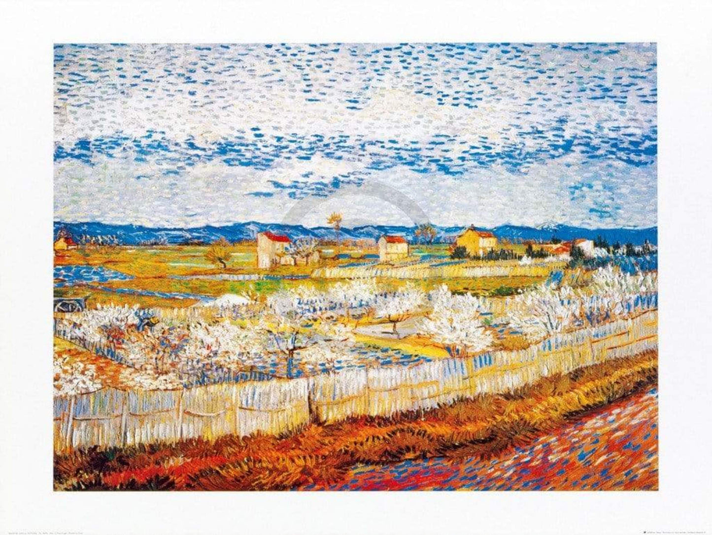 Kunstdruk Vincent Van Gogh - Pesco in fiore 80x60cm