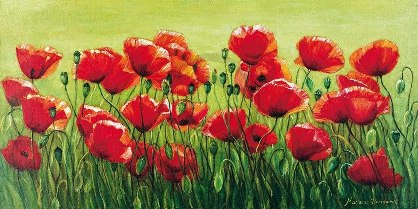 Kunstdruk Marianne Bernhardt - Klatschmohnwiese 100x50cm
