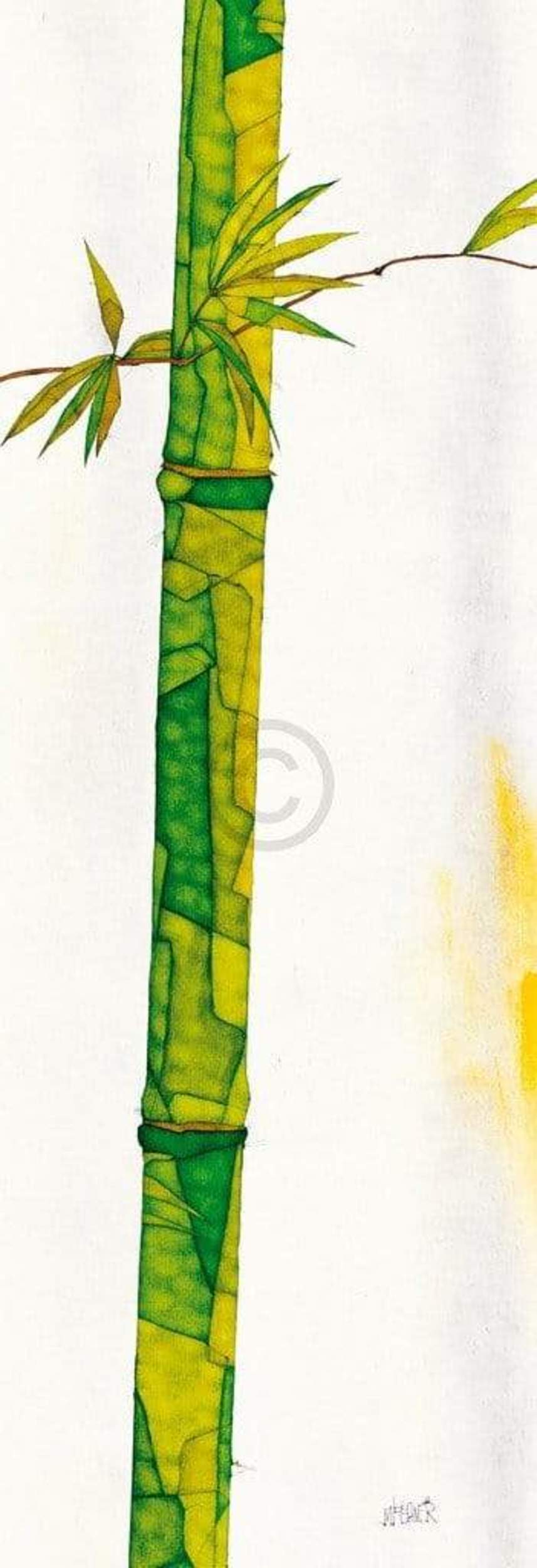 Kunstdruk Michael Ferner - Bambus Duo II 34x99cm