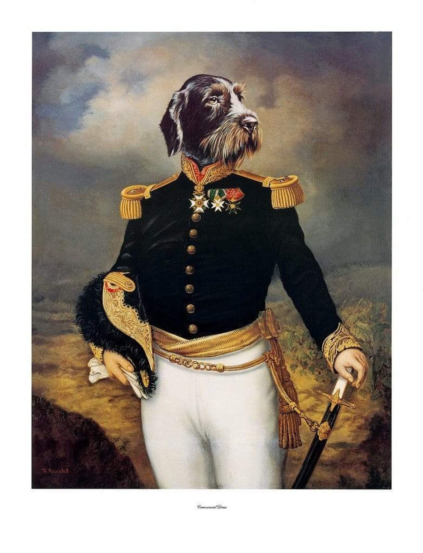 Kunstdruk Thierry Poncelet - Ceremonial Dress 66x86cm