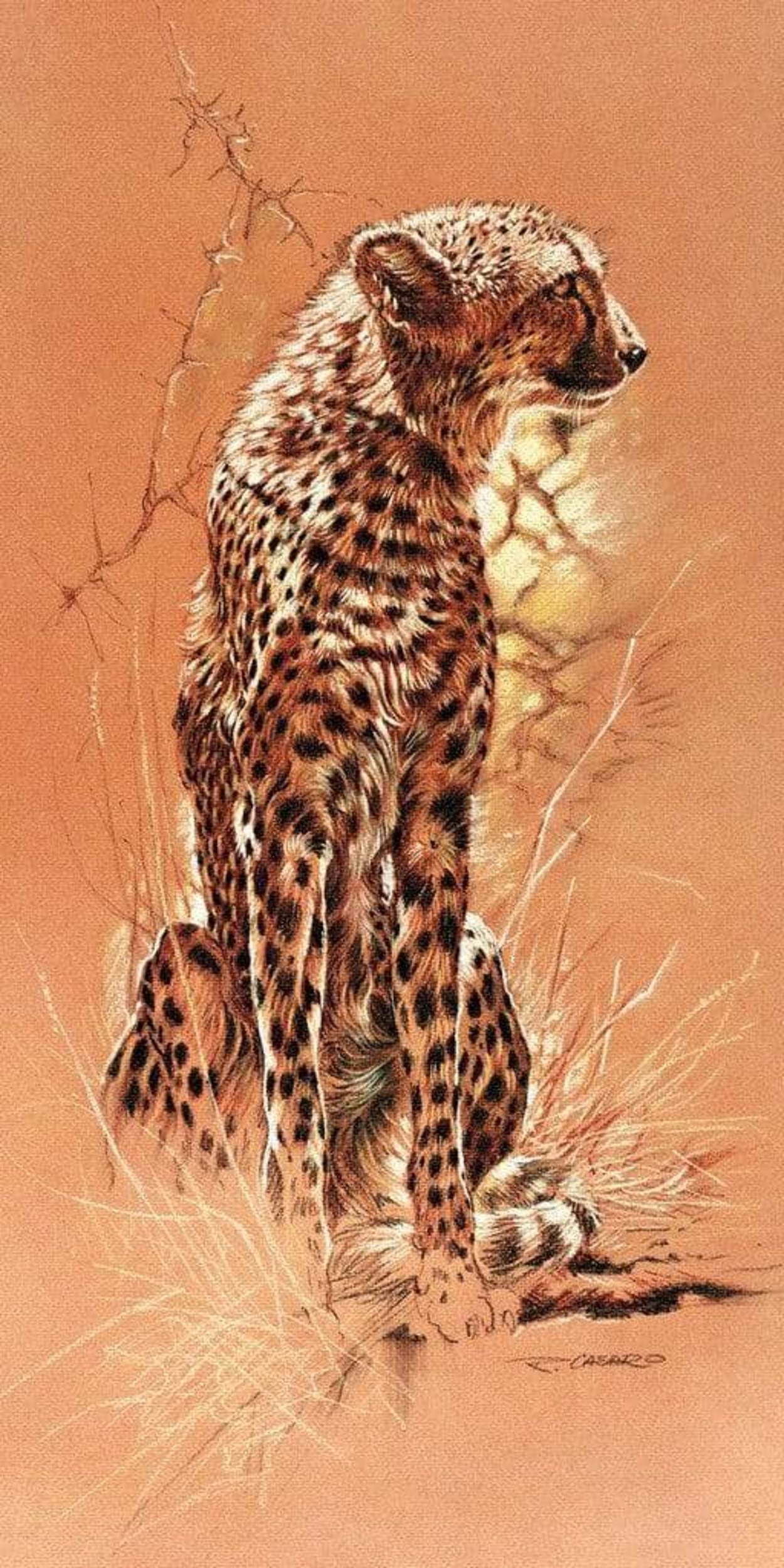 Kunstdruk Renato Casaro - Cheetah 50x100cm