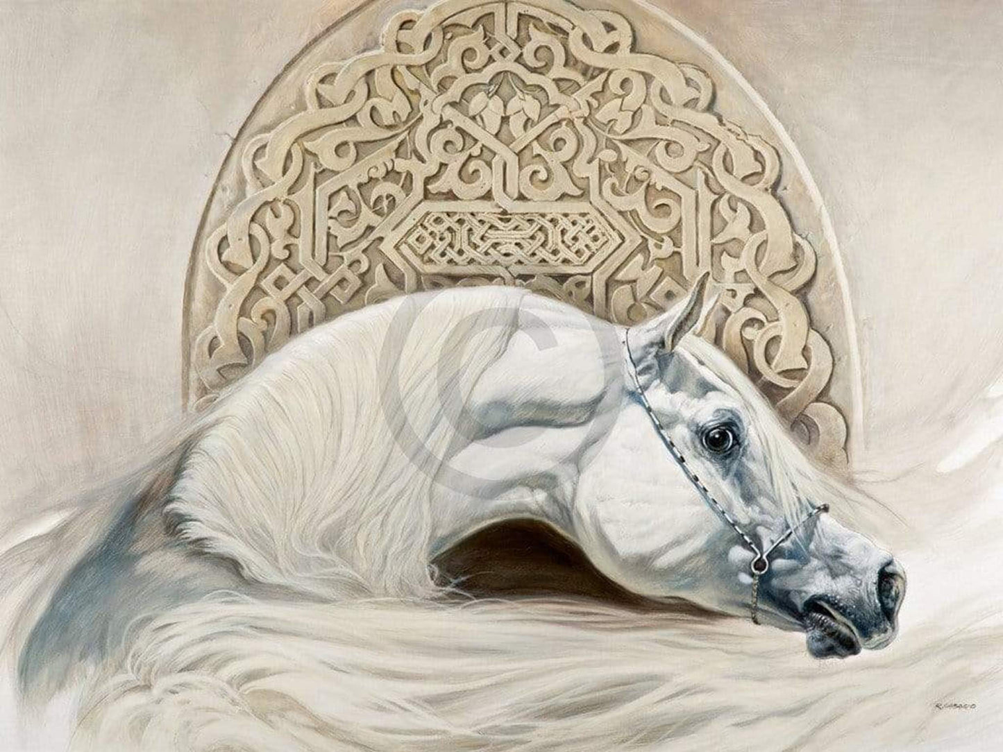 Kunstdruk Renato Casaro - Arabian Pride 80x60cm