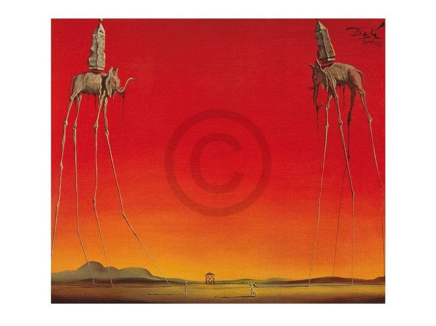 Kunstdruk Salvador Dali - Les Elephants 80x60cm