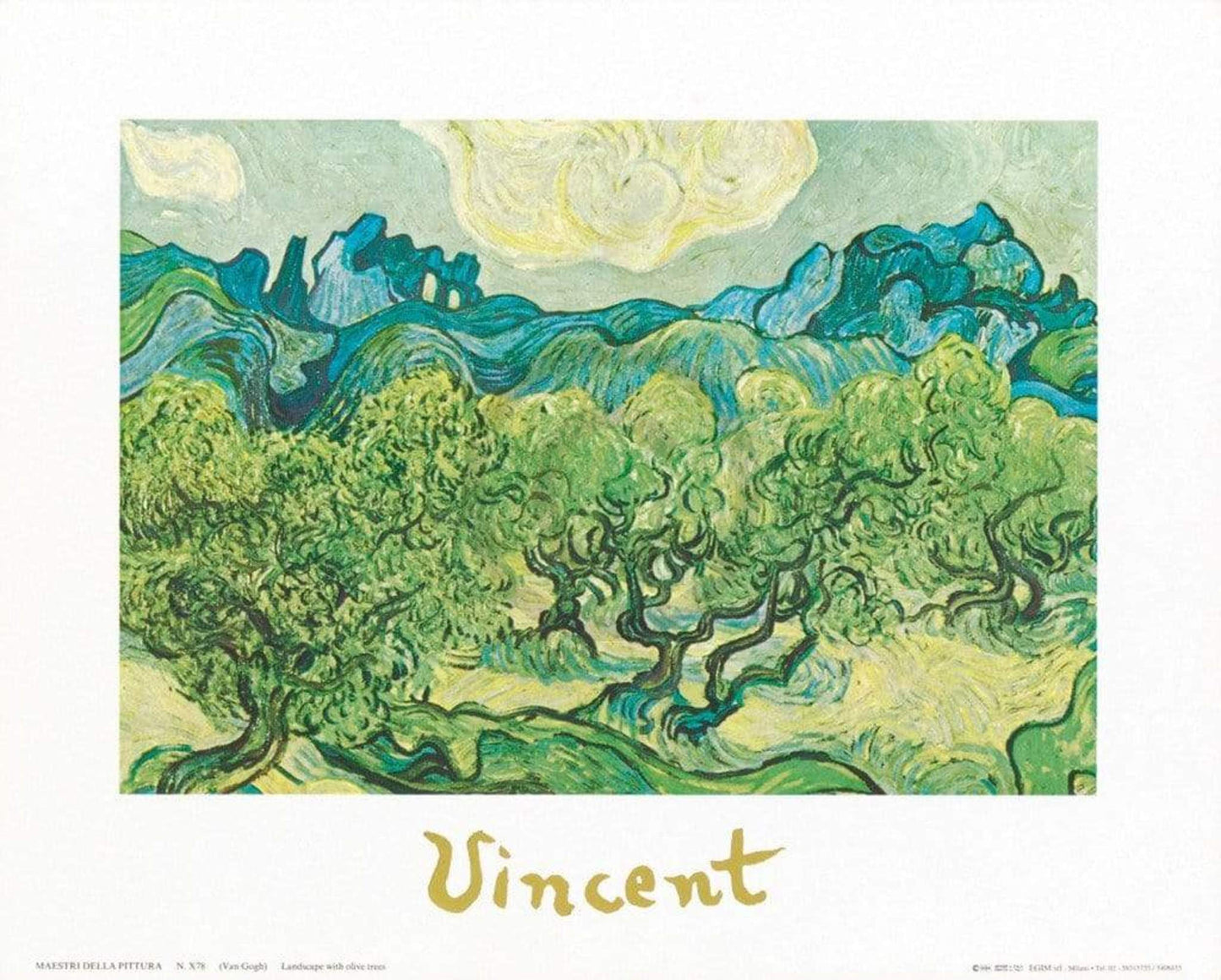 Kunstdruk Vincent Van Gogh - Landscapes with olive trees 30x24cm