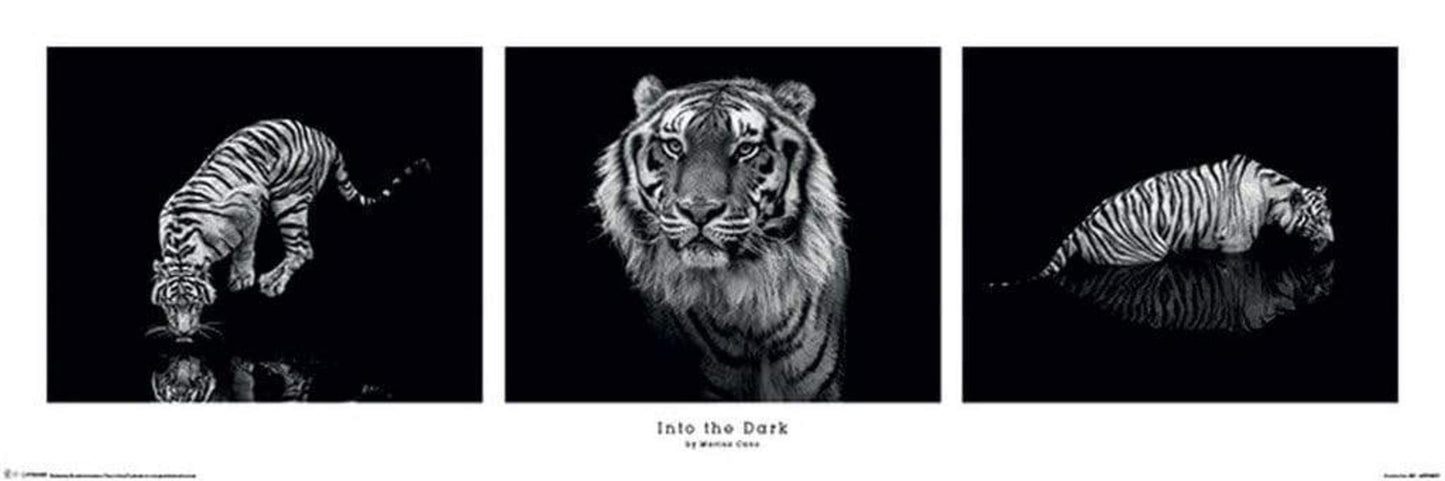 Poster Marina Cano Into the Dark 91,5x30,5cm