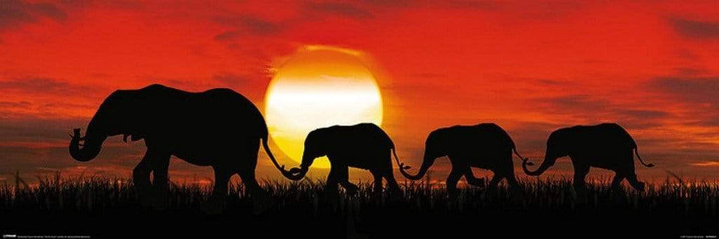 Poster Sunset Elephants 91,5x30,5cm