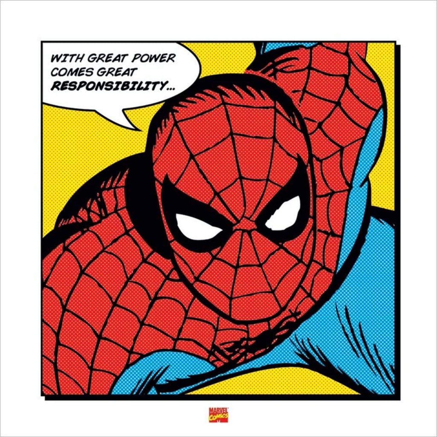 Kunstdruk Spider-Man With Great Power 40x40cm