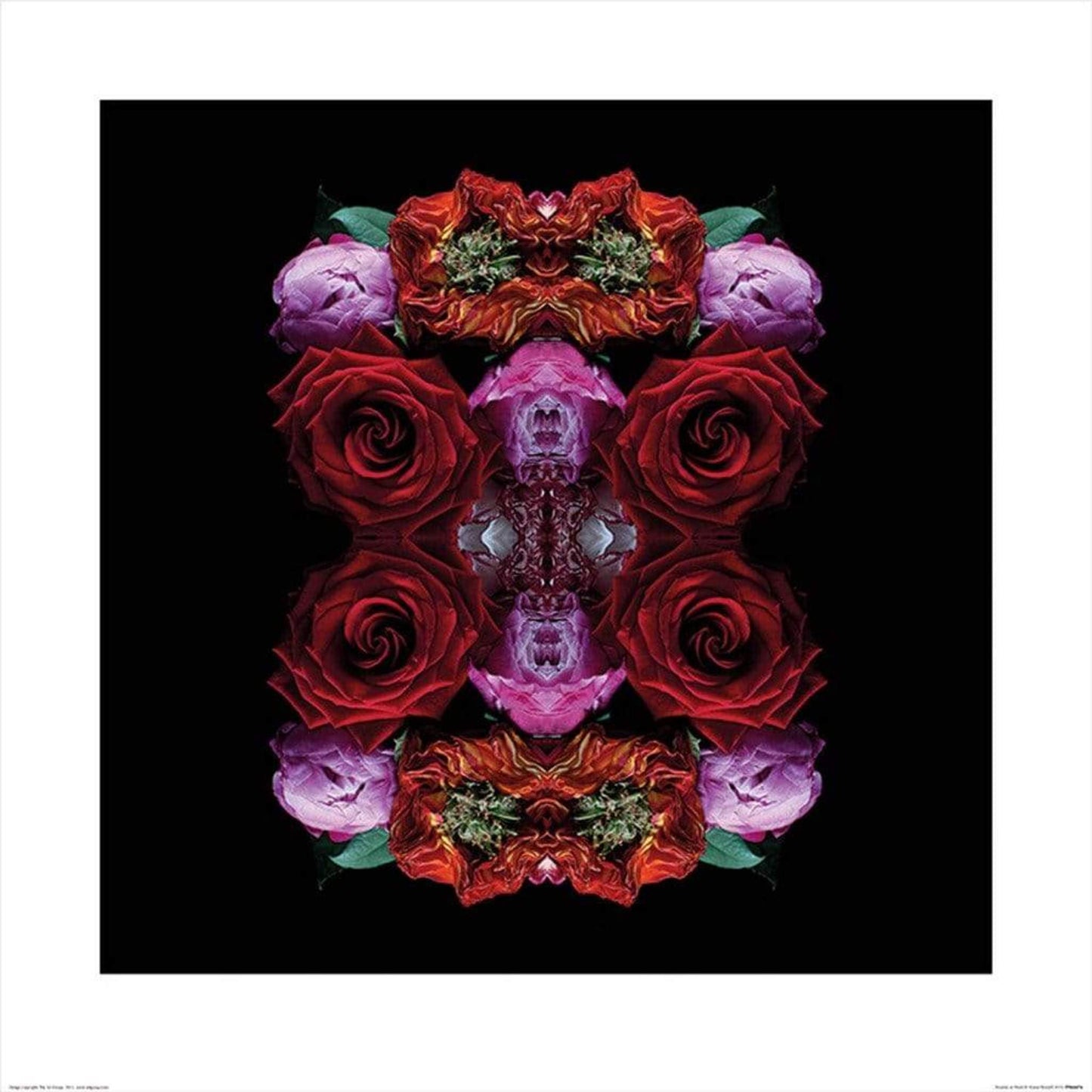 Kunstdruk Alyson Fennell - Paradise of Petals 60x60cm