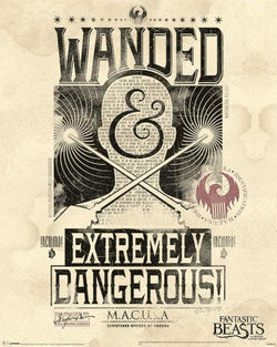 Poster Fantastic Beasts - Extremely Dangerous 40x50cm