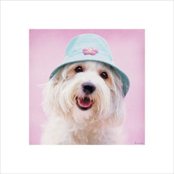 Kunstdruk Rachael Hale - Cindy 40x40cm