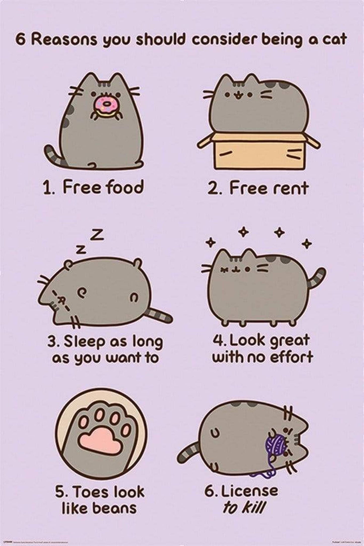 Poster Pusheen Reasons to be a Cat 61x91,5cm