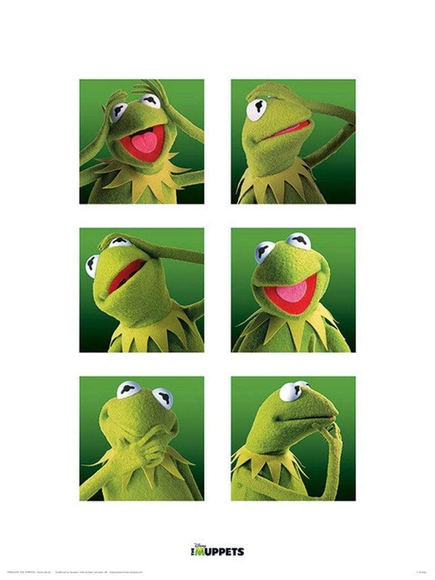 The Muppets - Kermit Boxes Kunstdruk 30x40cm