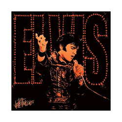 Kunstdruk Elvis Presley - 68 40x40cm