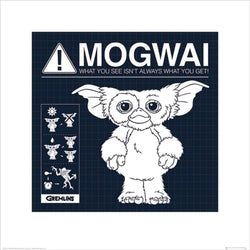 Kunstdruk Gremlins - Mogwai Rules 40x40cm