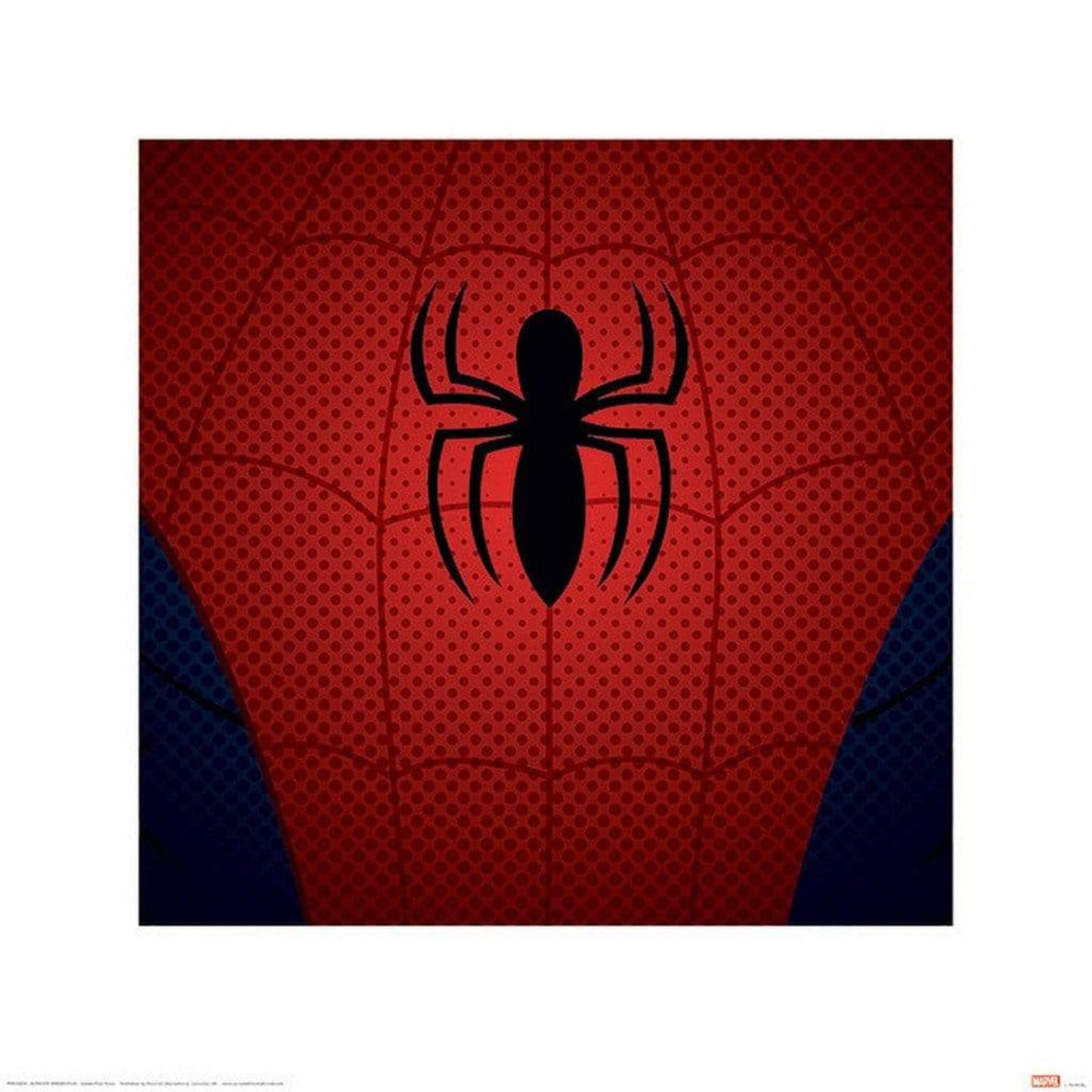 Kunstdruk Ultimate Spider-Man Torso 40x40cm
