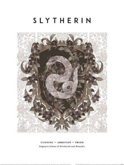 Kunstdruk Harry Potter - Slytherin 30x40cm