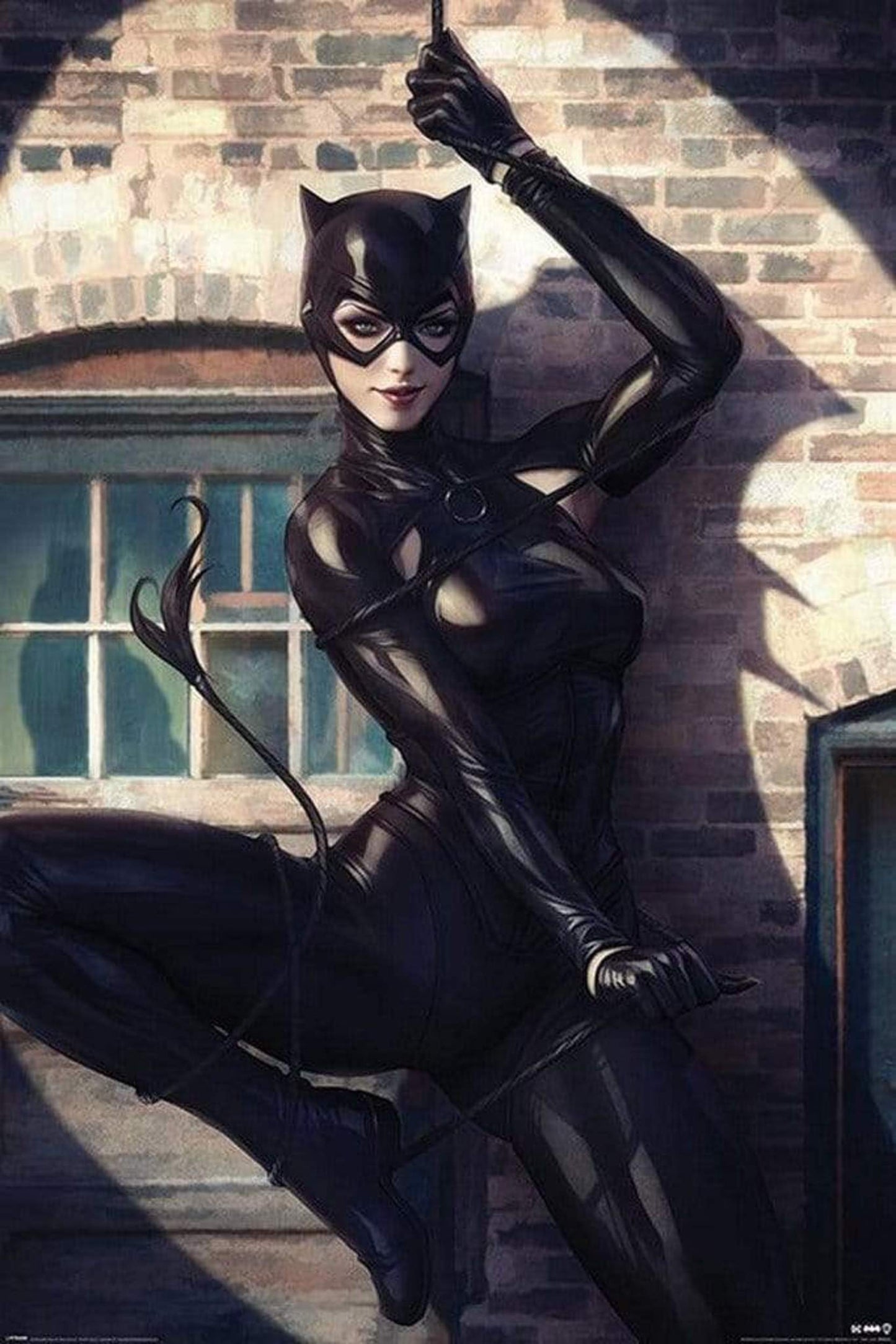 Poster Catwoman - Spot Light 61x91,5cm