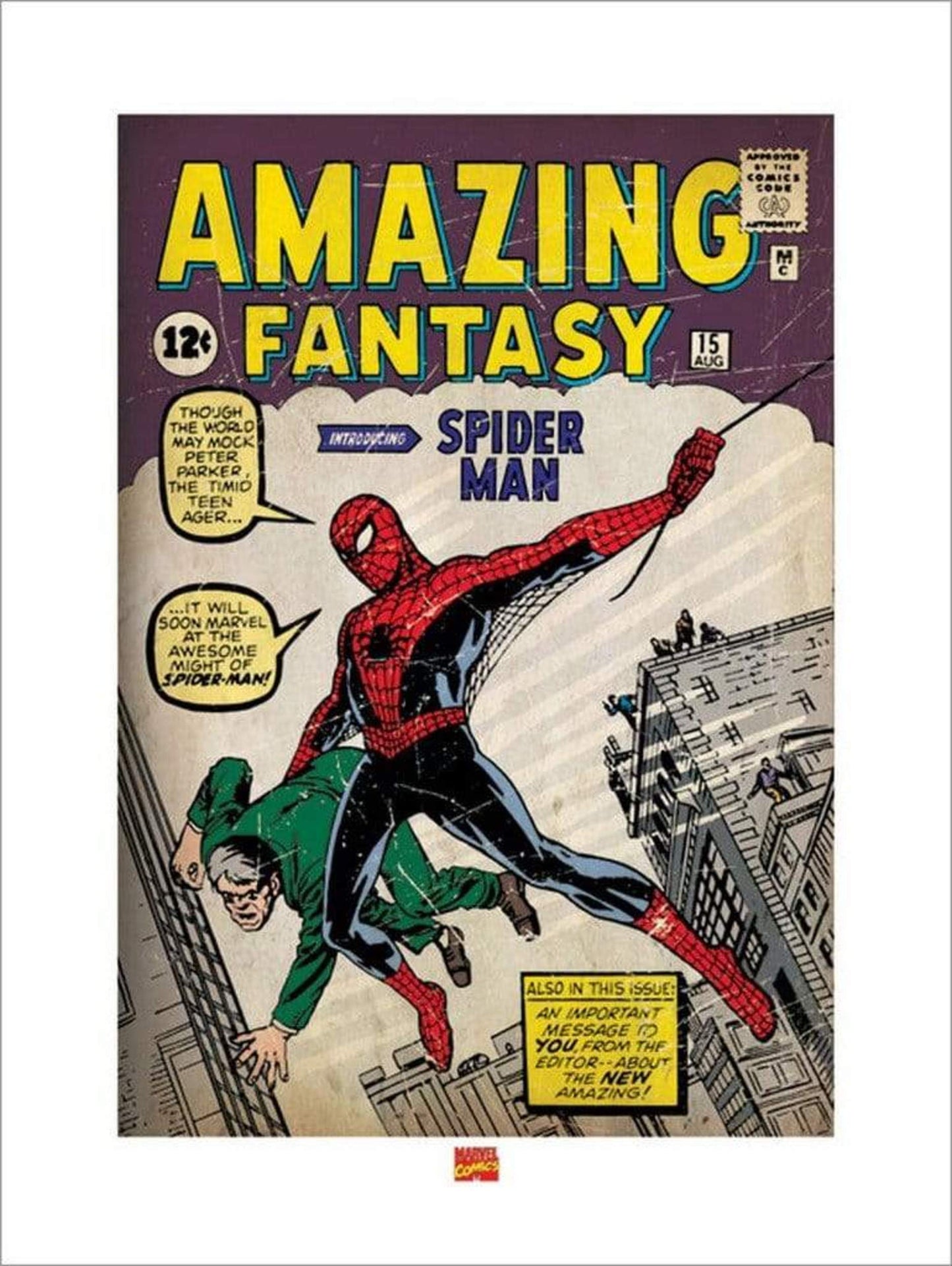 Kunstdruk Spider-Man - Issue 1 60x80cm