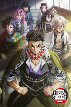 Poster Demon Slayer - Hashira Training 1 61x91,5cm