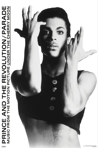 Poster Prince 61x91,5cm