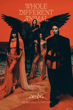Poster AESPA - WDA 61x91,5cm