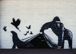 Kunstdruk Banksy - Gorilla London Zoo 70x50cm