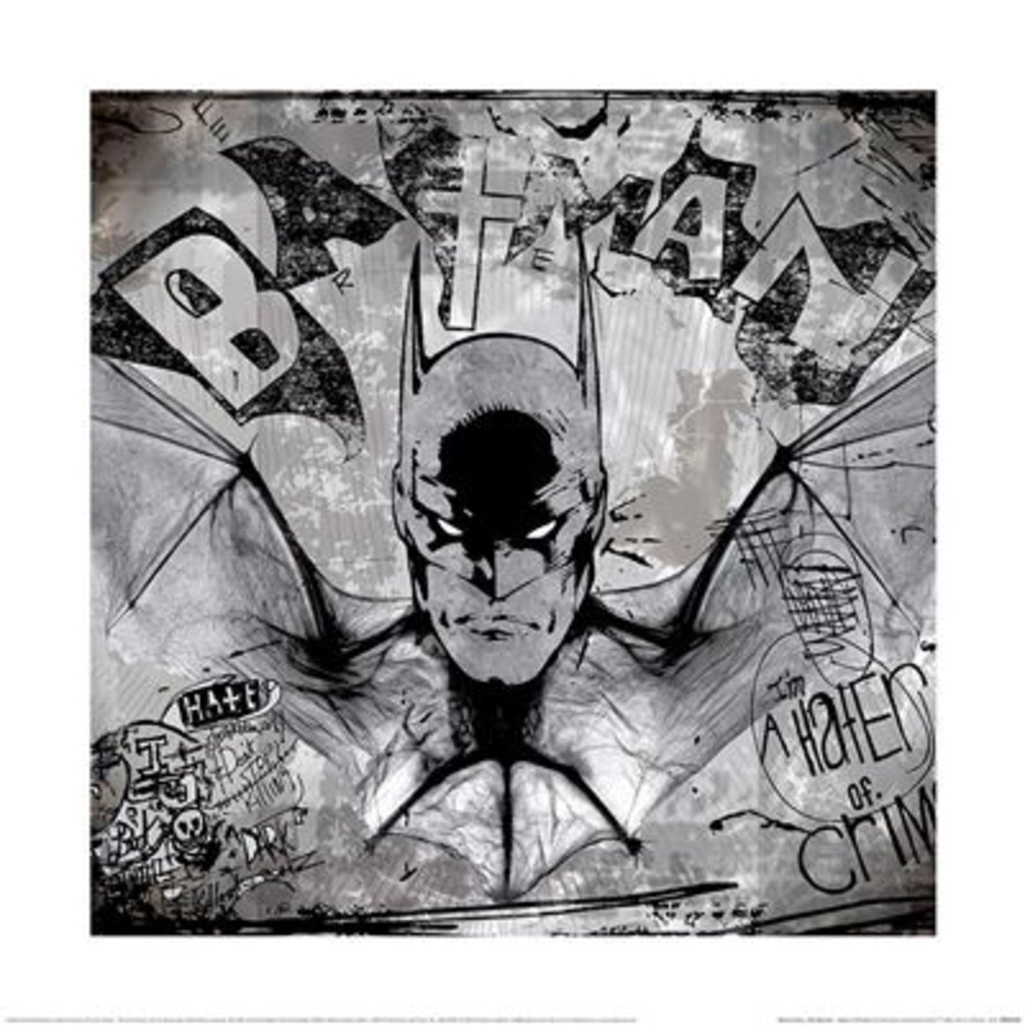 Kunstdruk WB100 Batman Hater of Crime 40x40cm