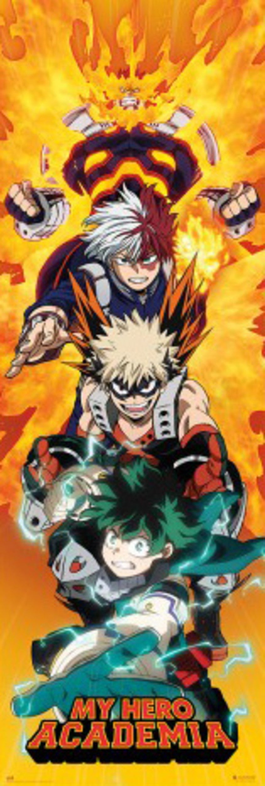 Poster My Hero Academia 53x158cm