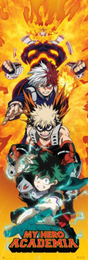 Poster My Hero Academia 53x158cm