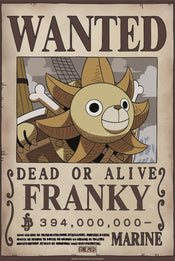 Poster One Piece Wanted Franky Wano 38x52cm