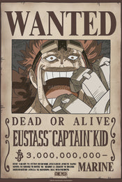 Poster One Piece Poster Wanted Kid Wano 38x52cm
