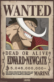 Poster One Piece Wanted Whitebeard 61x91,5cm