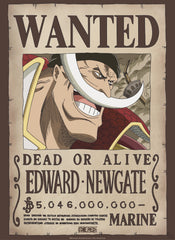 Poster One Piece Wanted Whitebeard 38x52cm