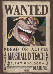 Poster One Piece Wanted Blackbeard 38x52cm
