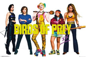 Poster Birds of Prey Group 91,5x61cm