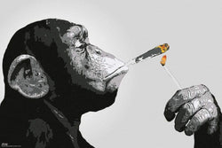 Poster Steez Smoking 91,5x61cm